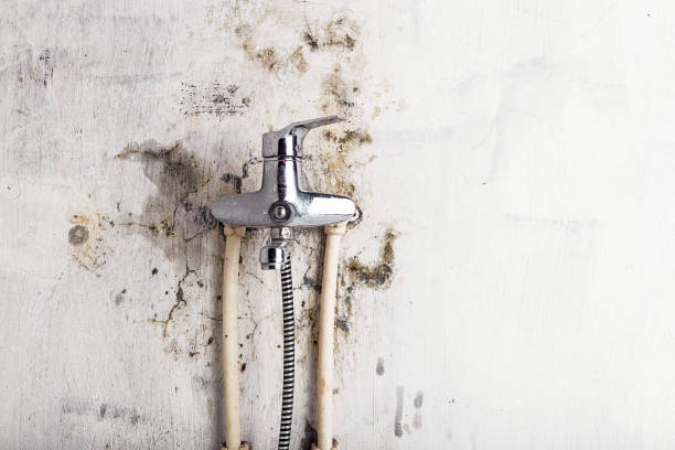Best Office Mold Removal Services  in Crivitz, WI