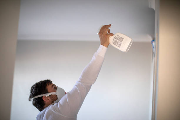 Best Best Mold Removal Companies  in Crivitz, WI