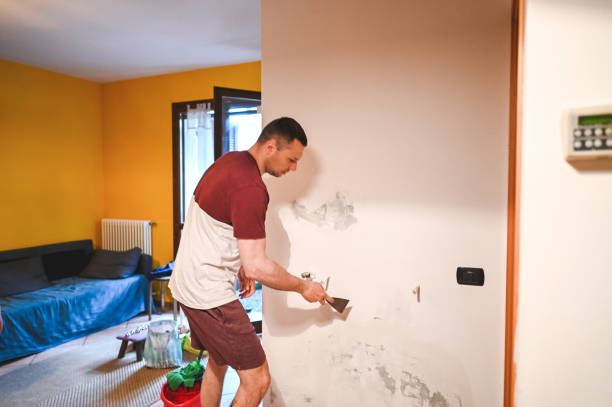 Best Residential Mold Removal  in Crivitz, WI